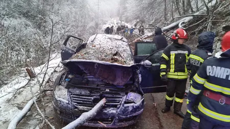 Accident cumplit la Reşiţa: Alexandru, copilul de 14 ani lovit de copac, se afla pe scaunul din dreapta. Postare cutremurătoare a părinţilor