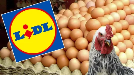 Ce fel de ouă se vând în magazinele Lidl? Mulți români nu știu acest detaliu surprinzător