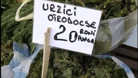 Kilogramul de „urzici ortodoxe” te arde la buzunar. Imaginea care a făcut înconjurul internetului: 