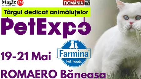 Show de pești exotici, concurs de grooming, prezentare de rase canine românești și internaționale și ședințe foto gratuite pentru animăluțele de companie la PetExpo