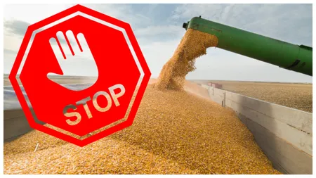 Este oficial! România interzice importurile de grâu din Ucraina. Măsura a fost extinsă și la alte produse agroalimentare