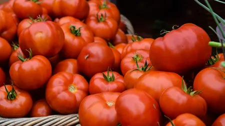 Chilipir! Cu câţi lei se vinde un kilogram de roşii româneşti la marginea Bucureştiului