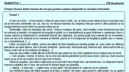 Rezolvare subiecte Română la Evaluarea Națională 2023. Profesorul Radu Vancu: Cred că departajarea se va face în funcție subiectul de elaborare de text