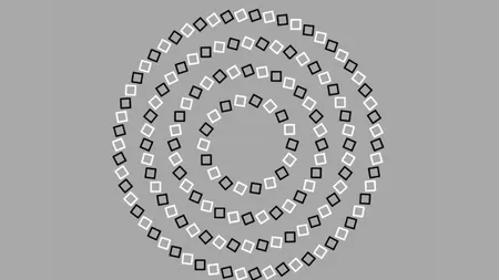 Iluzia optică virală, care îți arată dacă ai intuiție și creativitate. Tu poți găsi toate cercurile din imagine în doar 5 secunde?