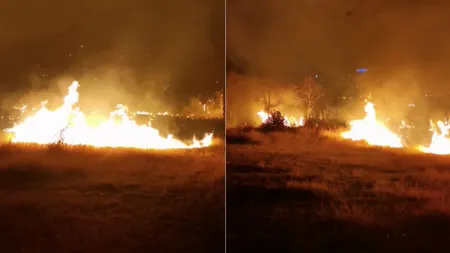 ALERTĂ în București! Unul dintre cele mai frumoase parcuri din București, cuprins de flăcări. Autoritățile intervin de urgență să stingă incendiul