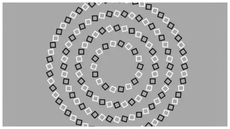 Test de inteligență rapid pentru genii! Câte cercuri vezi în imagine. Ai doar 10 secunde la dispoziție
