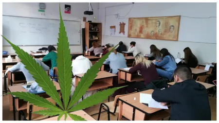 Lupta împotriva consumului de droguri continuă! Sute de profesori, instruiți de polițiștii antidrog să recunoască elevii care se află sub influența stupefiantelor