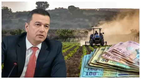 Sorin Grindeanu, anunț de ultimă oră pentru fermierii români! ”Vom acorda subvenții indiferent de ce decide UE”