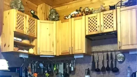 Iluzie optică. Găsește pisica ascunsă în bucătărie, dacă vrei să îți testezi capacitatea de concentrare și atenția la detalii