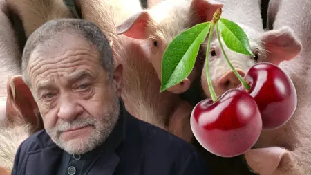 Dumitru Buzatu, îmbogățit de porci și cireșe. Ce au confiscat procurorii DNA din casa fostului politician