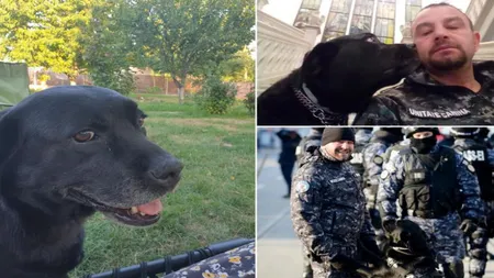 A murit Tina, câinele-gardian de la Penitenciarul Iași. Nu a primit grad, deşi a participat la sute de misiuni