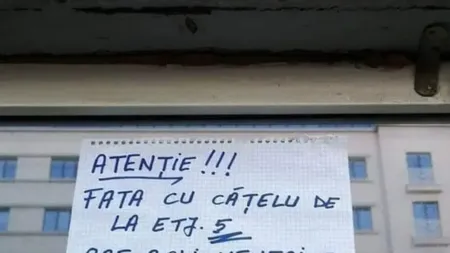 Anunțul unui locatar de la avizierul unui bloc face ravagii pe internet. Mesajul i-a lăsat cu gura căscată pe vecini: „Atenție! Fata cu cățelu' de la etajul 5...”