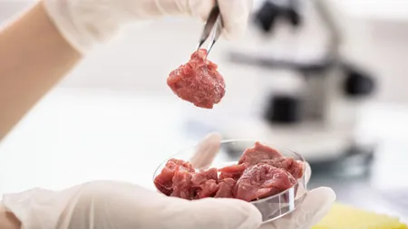 Italia a interzis carnea produsă în laborator. Decizia a dus la revolte în stradă VIDEO