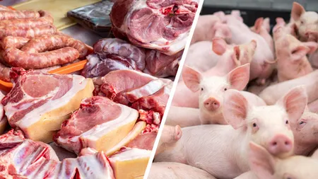 România nu produce cea mai bună carne de porc din Europa. Țara care este pe primul loc, dezvăluită de președintele Romalimenta