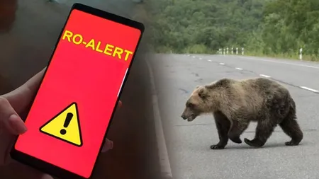 Un nou mesaj RO-Alert înainte de weekend. Urşii se plimbă prin staţiuni