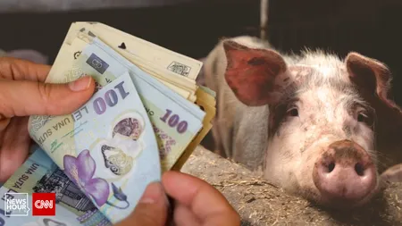 Atenţie mare de unde cumpăraţi porci! Au vrut şorici autohton, dar s-au ales cu 1.200 de lei amendă