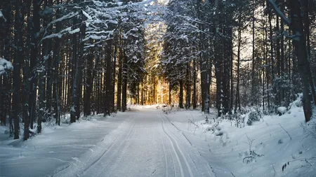 Prognoza meteo 8 decembrie 2023. Continua ninsorile în aceste zone ale României