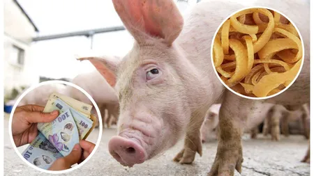 Cât costă un kilogram de şorici în 2023. Carnea de porc şi produsele tradiţionale, mai scumpe cu 20% faţă de anul trecut