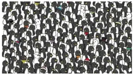 Test de inteligență exclusiv pentru geniile cu ochi de uliu! Găsește cele două pisici ascunse printre pinguini în opt secunde