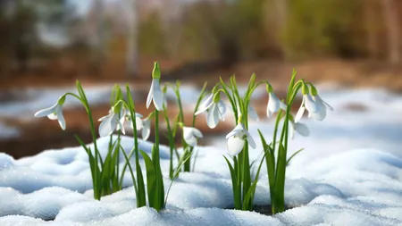 Prognoza meteo vine cu alternanţe periculoase. Inversiune termică, temperaturile urcă vertiginos de la o zi la alta, Ninsori bogate, doar la munte