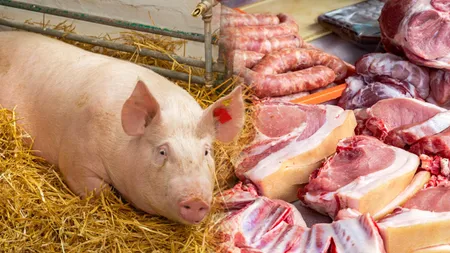 Creștere record a prețurilor la carnea de porc în 2024. România a depășit toate statele europene în acest sector