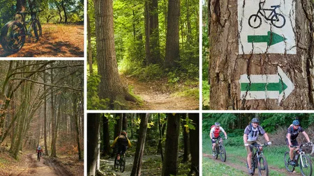 Noul Cod Silvic vine cu măsuri dure, dar şi veşti bune. Românii au voie să se plimbe pe jos sau cu bicicleta în orice pădure