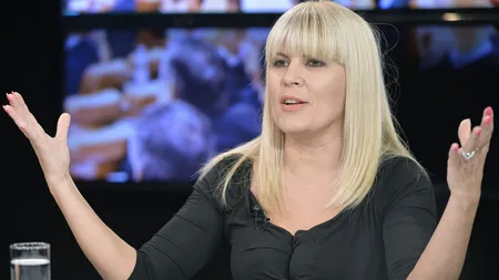 Elena Udrea află dacă scapă în Dosarul Hidroelectrica. ICCJ va decide fie prescipţia, fie rejudecarea