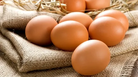 Motivul pentru care nu trebuie să pui ouăle în frigider dacă sunt proaspete! Pericolele ascunse ale acestui obicei