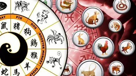 Zodiac chinezesc 11 aprilie 2024. Primești bani din mai multe surse, numai buni pentru a fi investiți într-o afacere nouă