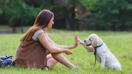 Vești proaste pentru iubitorii de animale! Noi reguli pentru proprietarii de câini. S-a schimbat legea