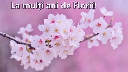 Ce nume se sărbătoresc de Florii. Vezi cui trebuie să-i spui duminică 