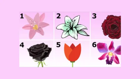 Test psihologic - Ce spune despre tine floarea pe care ai ales-o. Tu știai aceste lucruri despre tine?