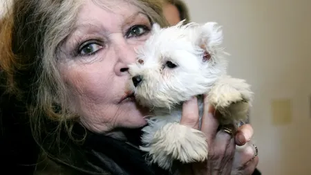 Brigitte Bardot, ca mamă: „Mai bine aveam un câine decât un copil”. Ce relație are cu fiul pe care l-a jignit când era însărcinată cu el