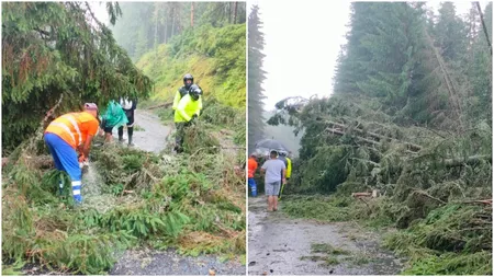 Furtună violentă pe Transalpina! Zeci de mașini au rămas blocate, iar mai mulți copaci au fost doborâți