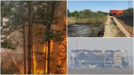 Incendiile de vegetație pun stăpânire pe România! Pădurea de pin din Parcul Național Porțile de Fier arde, o mașină de pompieri a luat foc în Constanța, iar lângă București are loc un alt incendiu