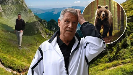 Klaus Iohannis a promulgat legea privind vânătoarea urşilor, votată în regim de urgenţă de Parlament după atacul din Munţii Bucegi