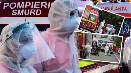 O nouă epidemie face ravagii în România. Focare în aproape toate judeţele, ce este Virusul PPA