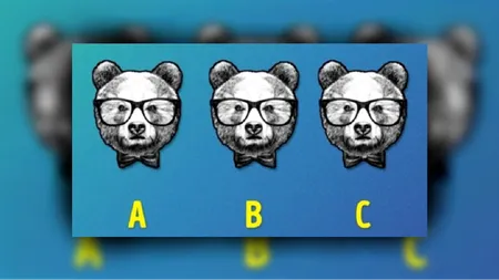 Test IQ pentru genii. Care urs din imagine este diferit de ceilalți doi. Găsește răspunsul corect în mai puțin de 15 secunde