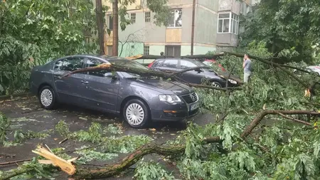 Mai mulți copaci au fost doborâți de furtună în București și Ilfov, marți seară. Ploile torențiale au produs pagube