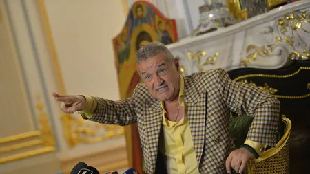 Lovitura grea pentru Gigi Becali. Latifundiarul din Pipera a dezvăluit câte milioane de euro a pierdut dintr-un foc