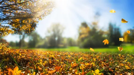 Prognoza meteo Accuweather. Se anunță o toamnă la extreme, cu caniculă și ploi în septembrie, ninsori în octombrie