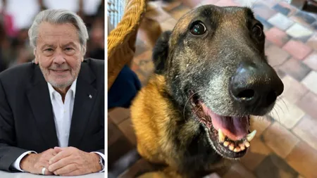 Familia lui Alain Delon refuză să eutanasieze câinele cu care actorul voia să moară alături: „Loubo va fi păstrat”