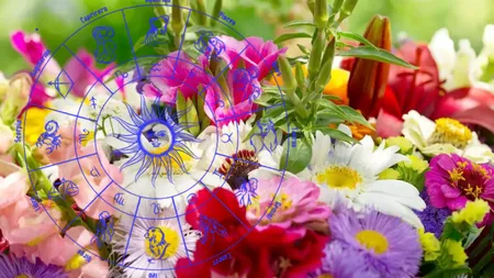 Ce flori să oferi, în funcție de zodie. Există o plantă specială pentru fiecare nativ al zodiacului