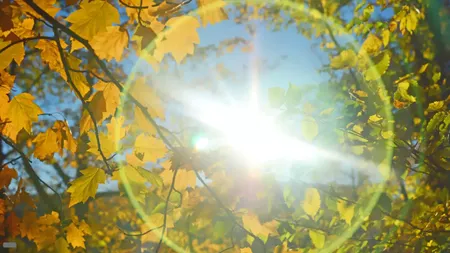 Prognoza meteo. Ultima zi cu înnnorări, de miercuri iese soarele în toată ţara