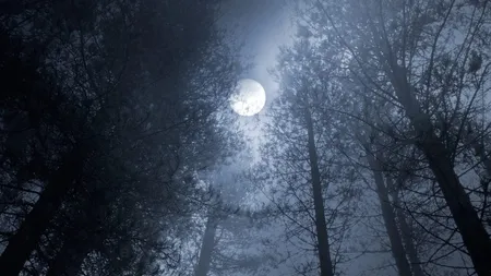 Super Luna plină a recoltei din 17 septembrie 2024 este în eclipsă parțială. Ce schimbări ne așteaptă? Cum să valorificăm energiile puternice 