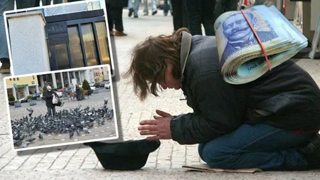 Amendă colosală! Un bucureştean a fost sancţionat cu 6.500 de lei după ce a hrănit porumbeii