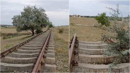 Localitatea cu cale ferată și haltă din România în care trenul nu a ajuns niciodată. Investiția făcută la finalul anilor '80 a fost uriașă, dar acum totul e pustiu