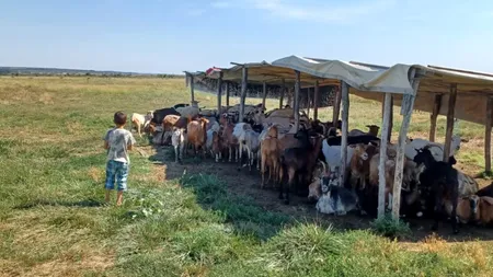Povestea impresionantă a lui Ilie, un băiețel de șase ani căruia îi place mai mult la școală decât acasă: „Cu ce am greșit de nu a venit și pe la mine Moș Nicolae?”