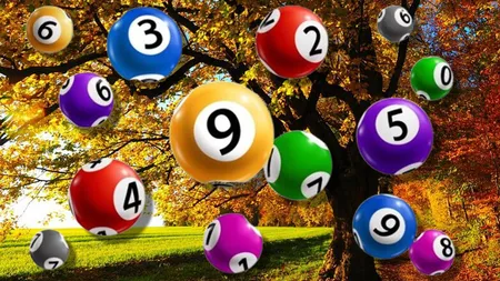 Rezultate loto 26 septembrie 2024. Report la Loto 6/49 la categoria I de peste 6,49 milioane de euro