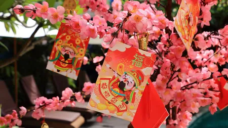 5 ZODII CHINEZEŞTI care atrag NOROCUL divin la finalul săptămânii